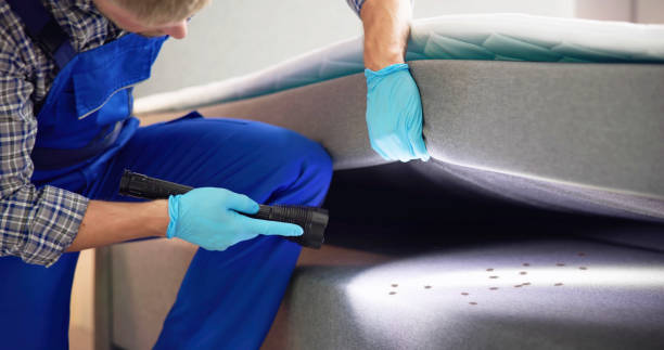 Best Pest Prevention Services  in North Alamo, TX