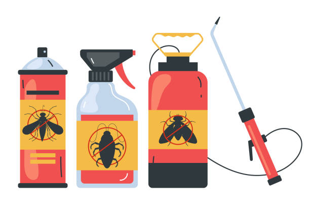 Best Affordable Pest Control Services  in North Alamo, TX